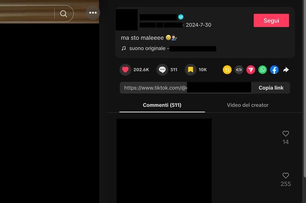 Vedere video preferiti TikTok Web