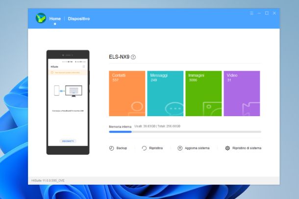 Software del produttore