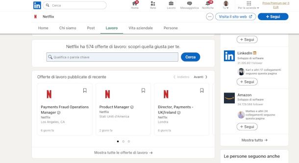 profilo LinkedIn Netflix