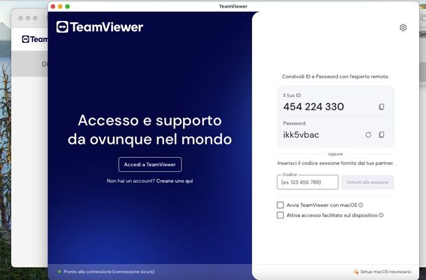 team viewer