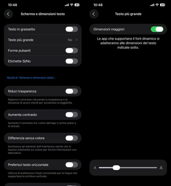 Testo più grande iPhone