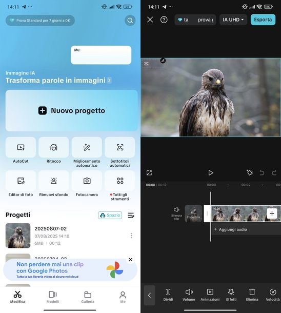 CapCut Android