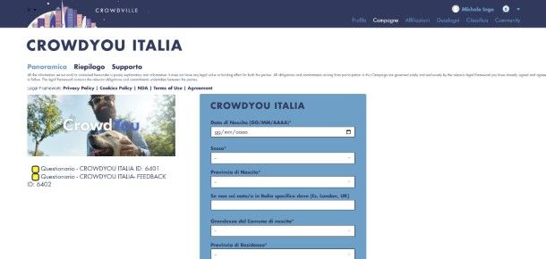 CrowdYou questionario
