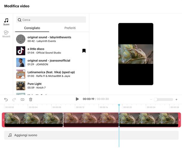 Tagliare video TikTok Web