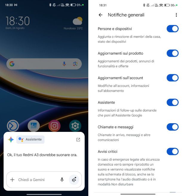 Assistente Google