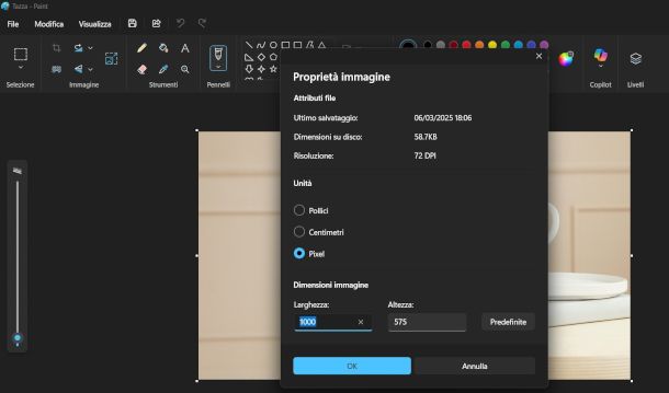finestra proprieta immagine su Paint