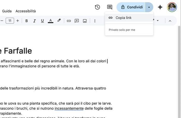 Copia link documento Google online
