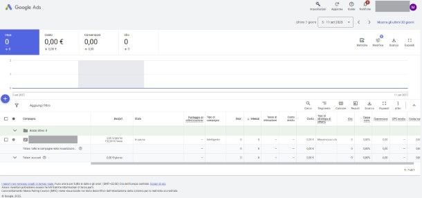 Gestione campagna Google Ads