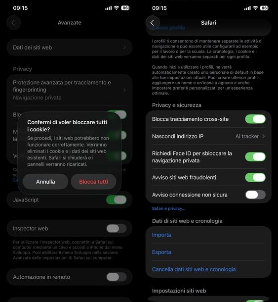 Bloccare cookie Safari iOS