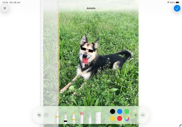 Disegnare su foto iPad