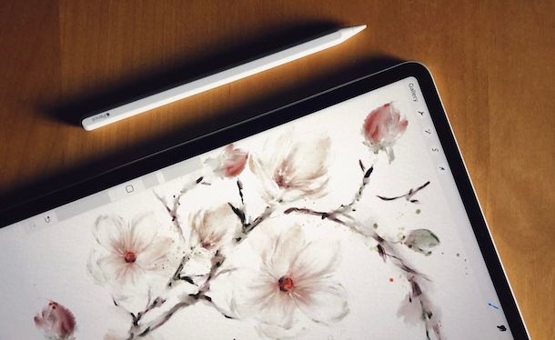 Disegnare su iPad