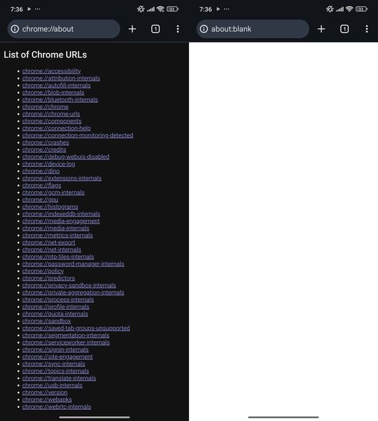 About blank info