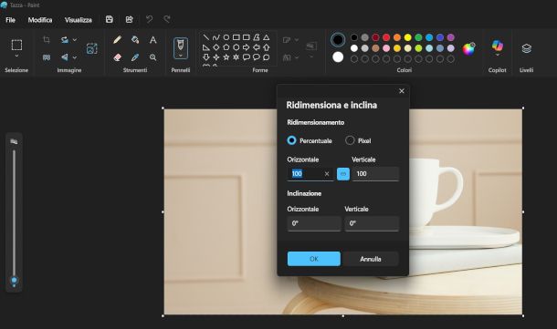 finestra ridimensiona e inclina su Paint