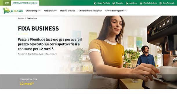 Offerte di luce e gas business
