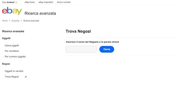 Ricerca avanzata eBay