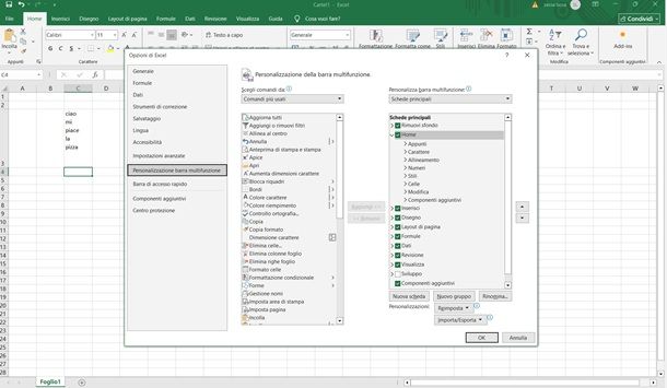 excel sviluppo