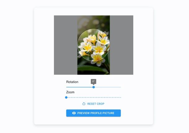 vedere anteprima foto profilo Instagram sito