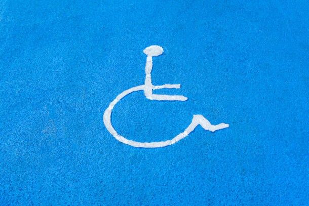 Disabilità