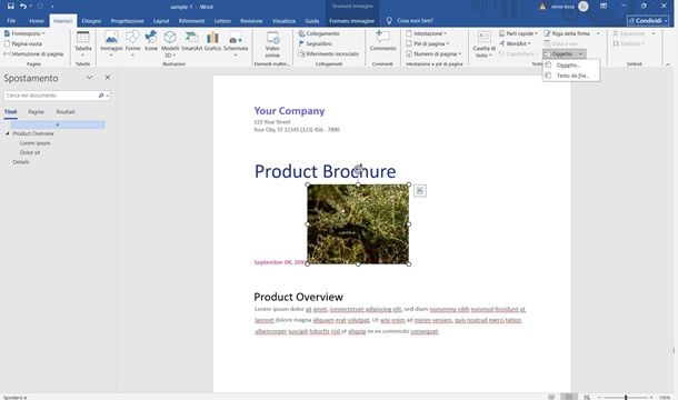 immagine in pdf word