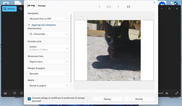 stampante virtuale Windows 11