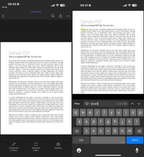 Cercare parola pagina documento PDF Microsoft Word iOS