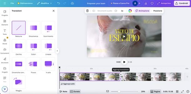transizione video Canva