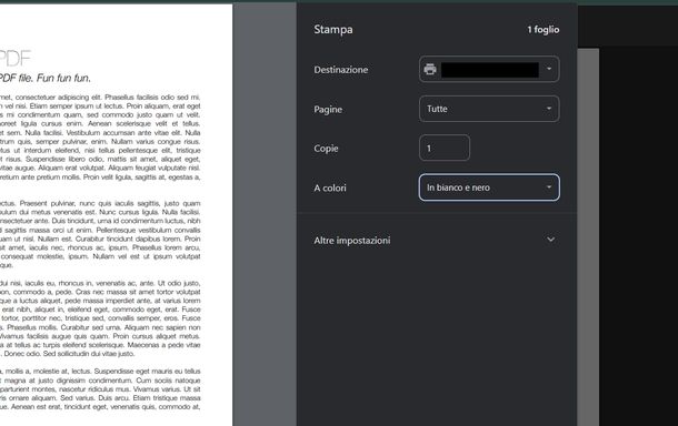Stampare in bianco e nero Epson Windows