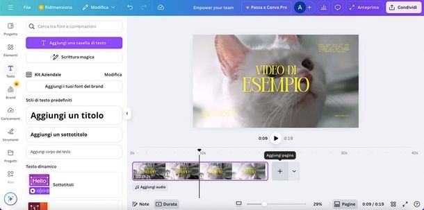 Video Canva 2