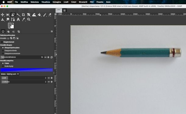 selezione in primo piano con GIMP