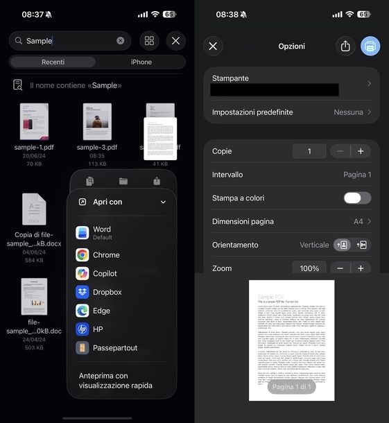 Stampare in bianco e nero Epson iOS