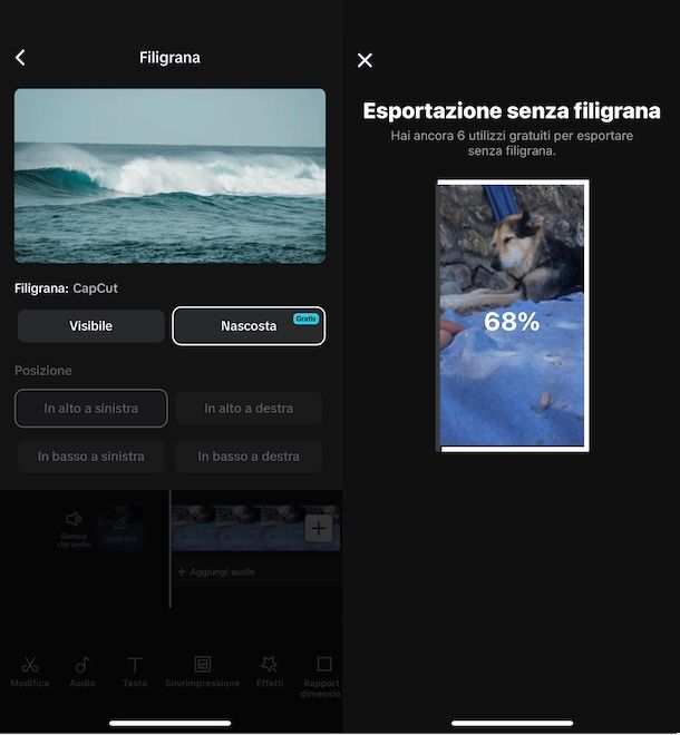 Salvare video CapCut senza filigrana