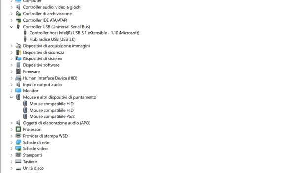 Controllare porta USB mouse Windows