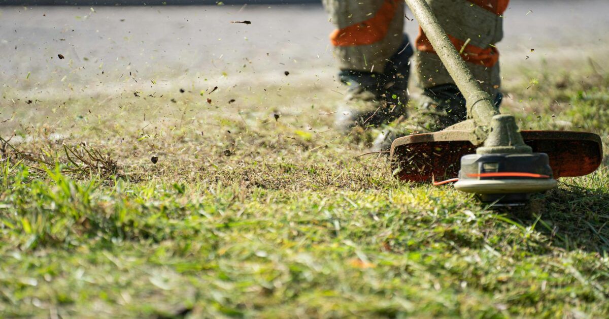 Miglior decespugliatore professionale: guida all’acquisto