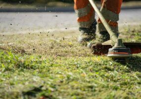 Miglior decespugliatore professionale: guida all’acquisto