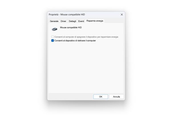 Gestione alimentazione Windows