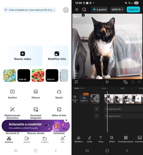 CapCut unire foto e video