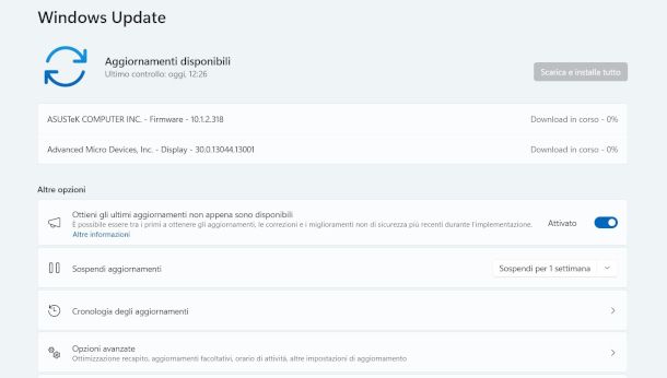 schermata Windows Update