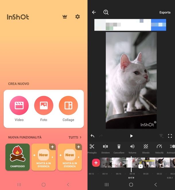 InShot app per unire foto e video