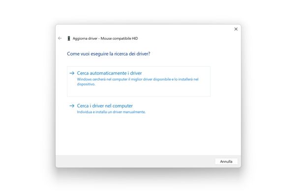 Aggiornare driver Windows