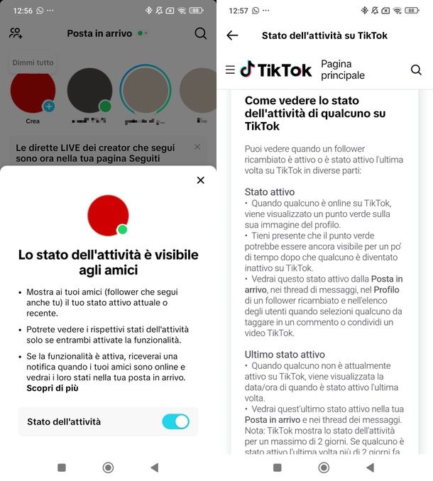 informazioni preliminari sullo stato dell'attività TikTok