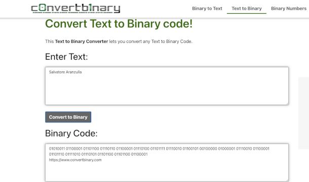schermata sito per conversione da testo a binario