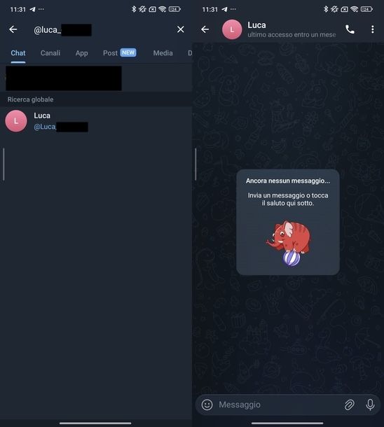 Cercare persona su Telegram username