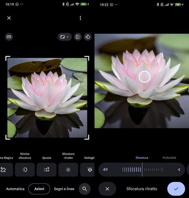 Google Foto sfocare sfondo