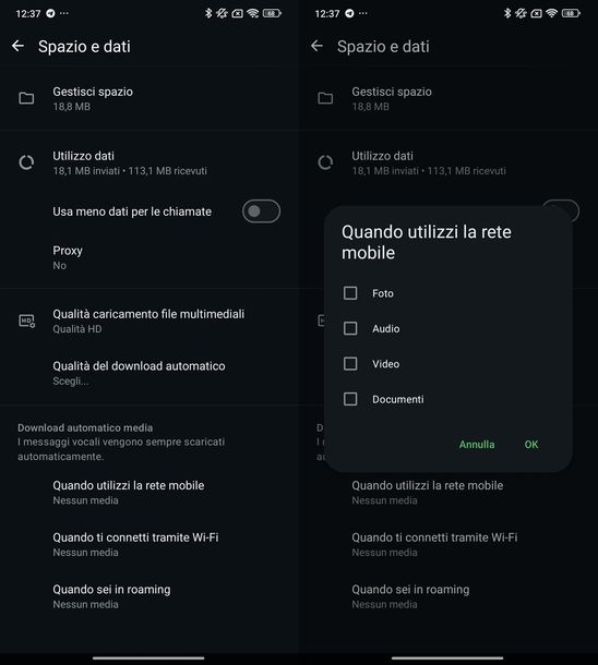 Salvare foto WhatsApp in Galleria Android