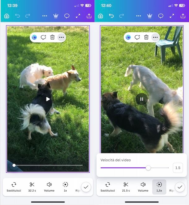 Velocizzare video con Canva