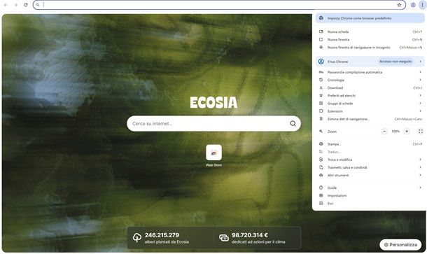 Che cos'&egrave; il browser