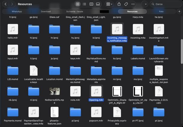 Cambiare suoneria WhatsApp macOS