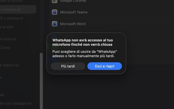 Attivare microfono su WhatsApp macOS