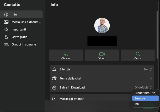 Salvare foto WhatsApp in Galleria macOS