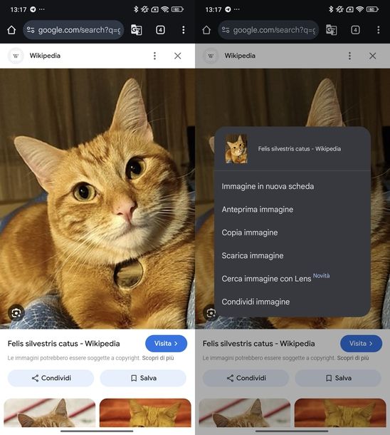 Cercare foto su Google dal cellulare Google Immagini parola chiave